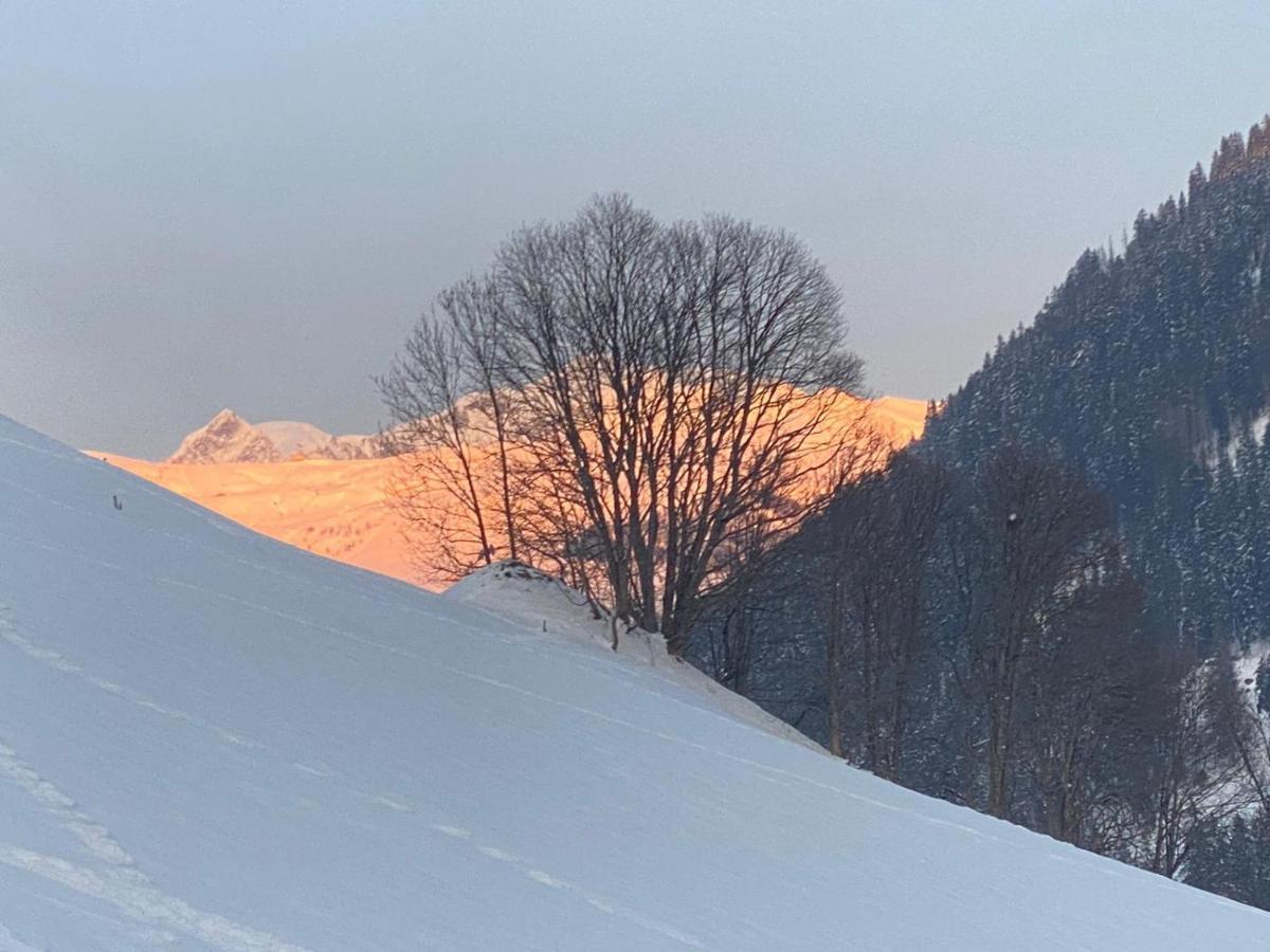 Aux Fermes De La Croix, Maison D'Hotes, Spa オトリュス エクステリア 写真